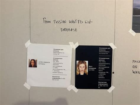 Russia S Feminist Punk Group Pussy Riot Brings Protest Art Exhibit To Montreal Cbc News