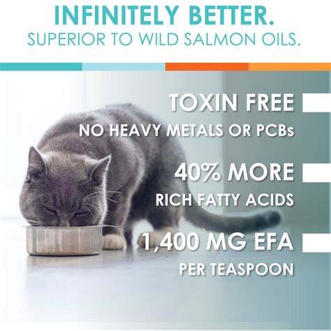 Celavin Pure Omega 3 Fish Oil For Dogs And Cats Nusentia
