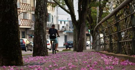 Tempo Blumenau Veja Se Semana Inicia Frio