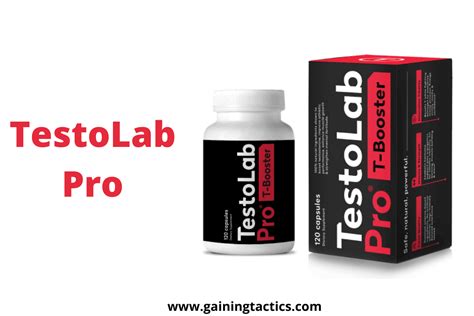 Testo Lab Pro Review For 2023 Gaining Tactics