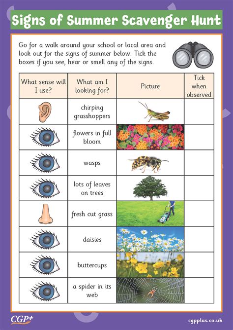 Signs Of Summer Year 1 Cgp Plus