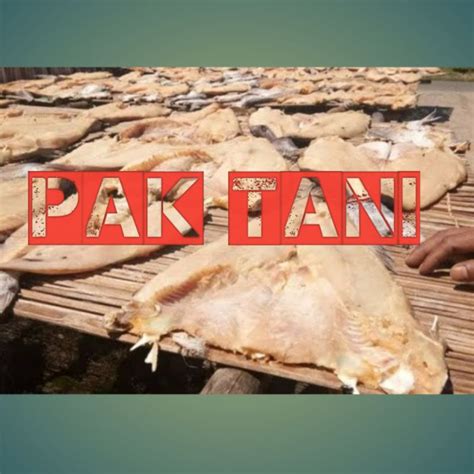 Jual Ikan Asin Jambal Roti Tanpa Tulang Original Gurih Mantap 1kg