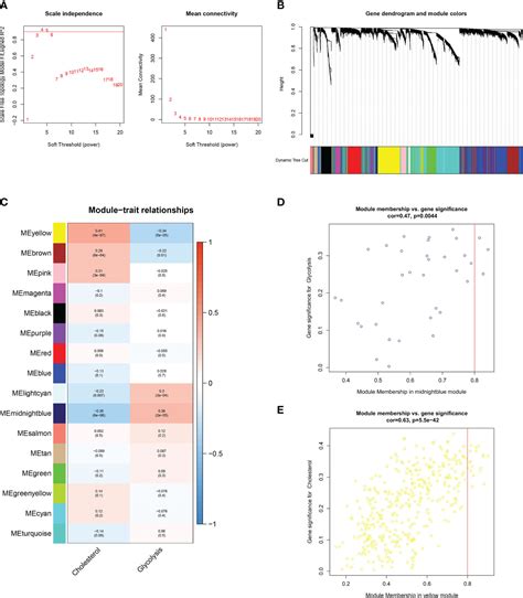 Frontiers Comprehensive Analysis Of A Glycolysis And Cholesterol