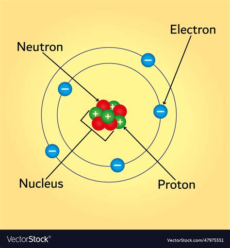 Components of atom diagram Royalty Free Vector Image