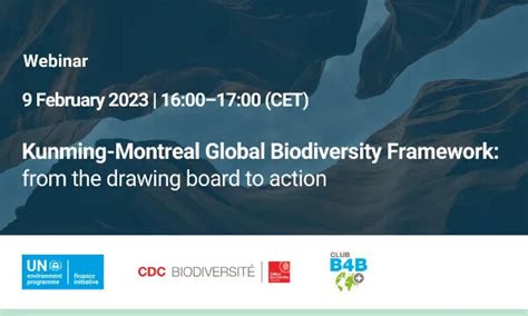 Kunming Montreal Global Biodiversity Framework From The Drawing Board