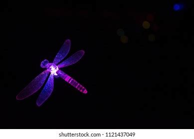 Dragonfly Night Royalty-Free Images, Stock Photos & Pictures | Shutterstock