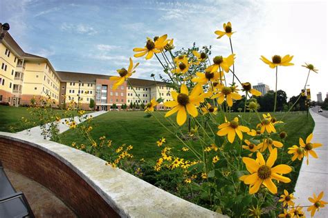 University of Michigan-Flint Admissions Data