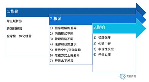 跨文化冲突管理 跨国企业文化冲突管理 中略咨询