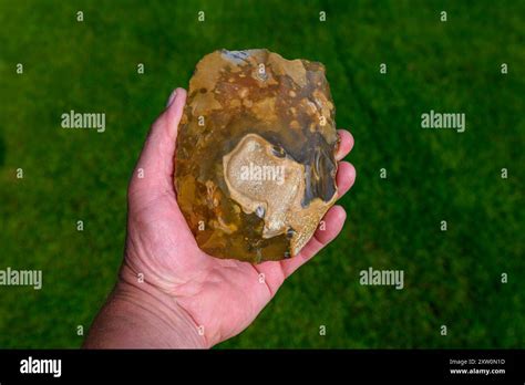 Hand Axe Acheulean Stock Photo Alamy