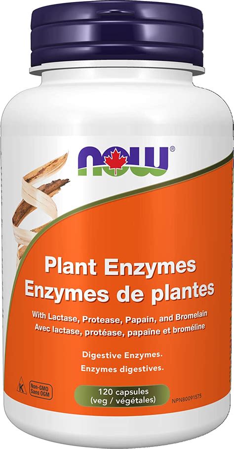 NOW Plant Enzymes Capsules, 120 Count : Amazon.ca: Health & Personal Care