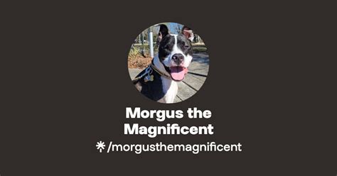 Morgus The Magnificent Twitter Instagram Linktree