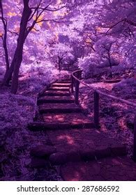 Invisible Naked Eye Images Stock Photos Vectors Shutterstock