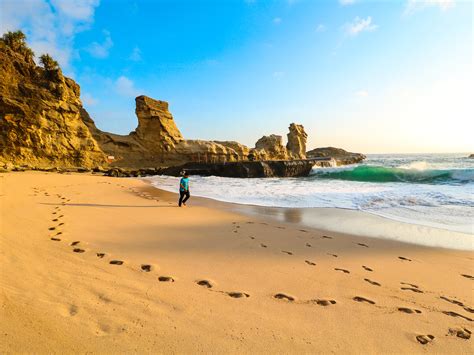 seashore  images seashore  seashore pictures