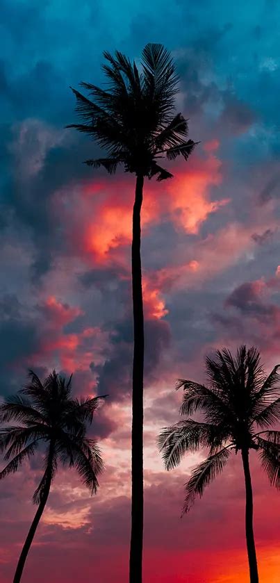 tropical sunset phone wallpaper