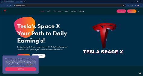 Exposed The SpaceX Crypto Scams Duping Victims With Fake Elon Musk Videos