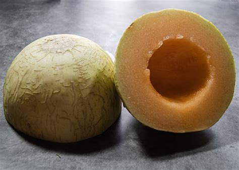 Melon Mania A Pinch Of Salt Lake
