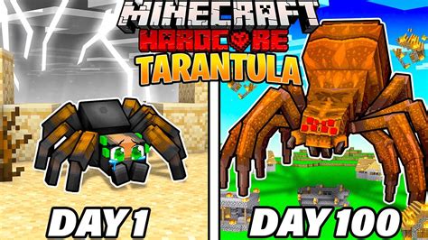 I Survived 100 Days As A Tarantula In Hardcore Minecraft Youtube