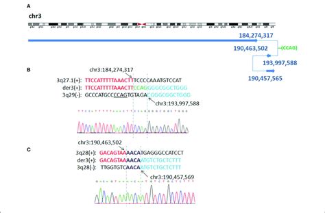 P7 With Interstitial Deletion Duplication Rearrangements A