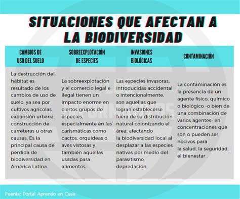 Situaciones Que Afectan A La Biodiversidad Los Informativos