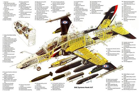 Pin on Cutaways Cortes sección