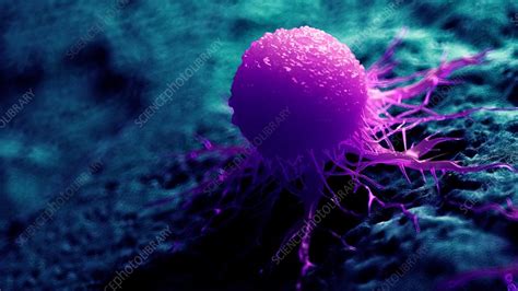 Illustration Of A Cancer Cell Stock Image F023 4969 Science Photo