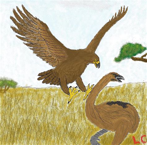 MS Paint: Haast Eagle attacks Moa by ZEECAPTEIN on DeviantArt