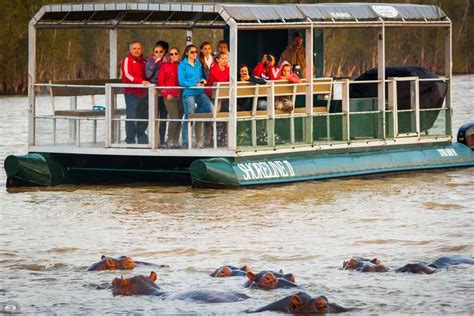 Magnificent Hippo And Croc Boat Cruise St Lucia R380 Pp