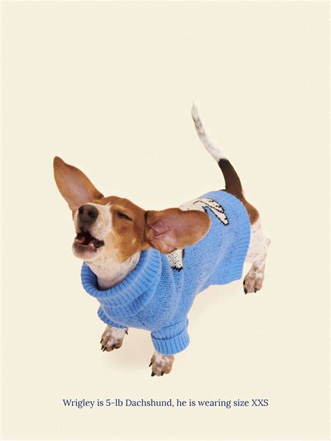 snoopy sweater women 3