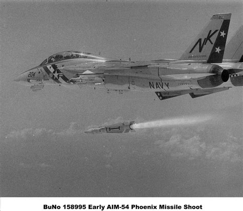 vf  gallery   tomcat