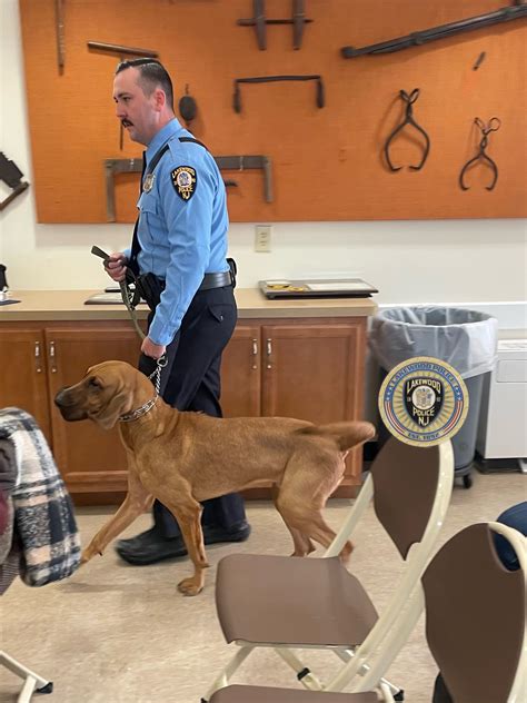 Lpds K9 Ranger” Graduates Lakewood Police Department