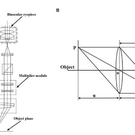 Ab Are The Principle Diagram A Binocular Microscope Imaging