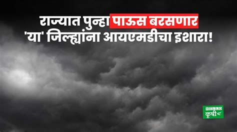 Weather Update राज्यात पुन्हा पाऊस बरसणार या जिल्ह्यांना आयएमडीचा