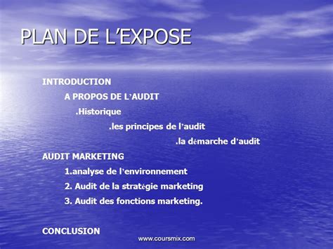 Audit Marketing PLAN DE LEXPOSE INTRODUCTION A PROPOS DE L AUDIT