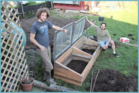 Парник для огурцов своими руками: фото, видео и инструкция
