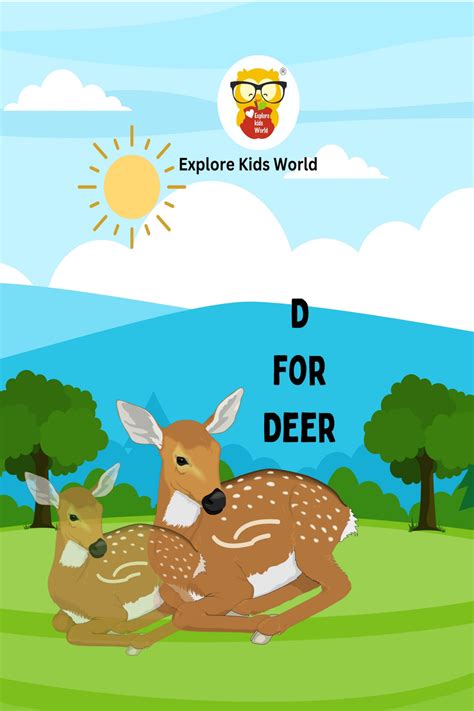 D for Deer