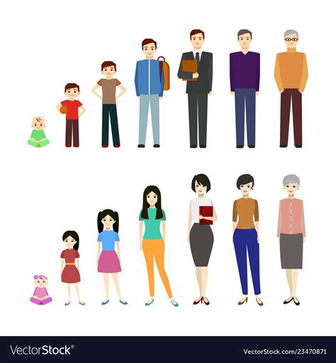 Cartoon Stages Of Growth Character Man And Woman Vector Image