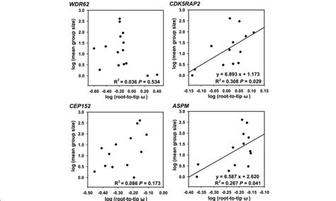 Regression Analysis Between Root To Tip ω And Mean Group Size In Cetaceans Download Scientific