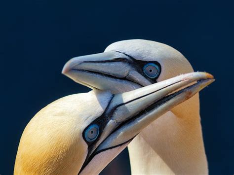 Zdjęcia Obrazy Grafika Wektory I Wideo Bez Tantiem Adobe Stock