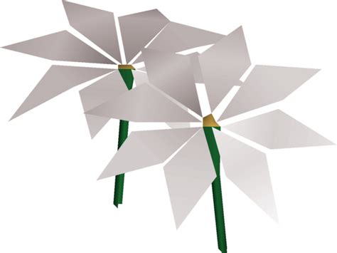 Lily Of The Sands Osrs Wiki