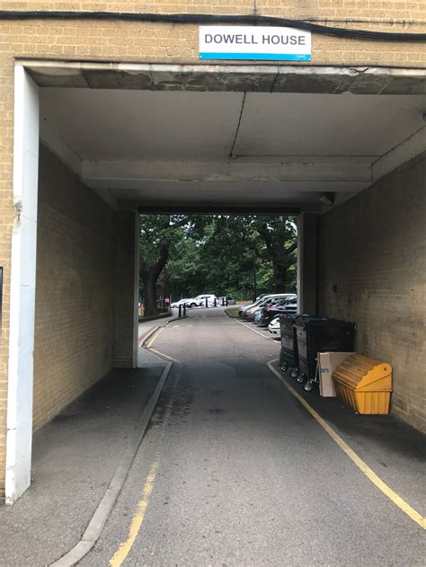 At the tree border: Sydenham Hill Station | Richly Evocative
