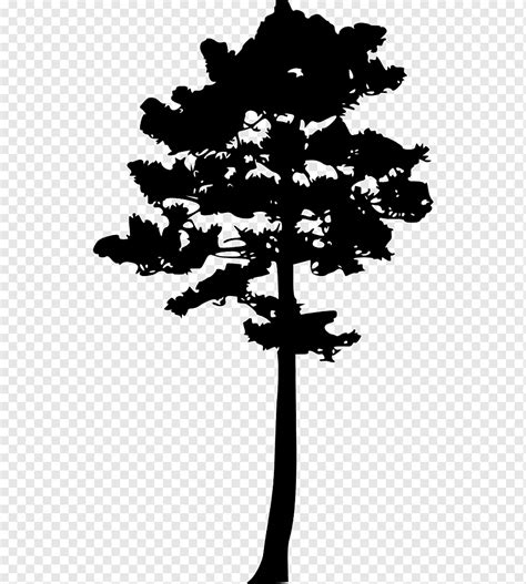 Трафарет сосны (49 фото)