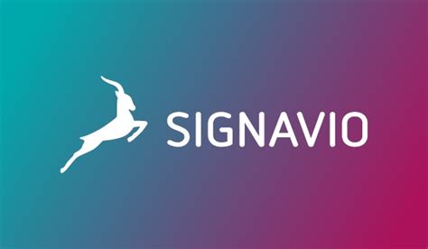 Signavio Raises 177 Million Led By Apax Digital To Accelerate Global