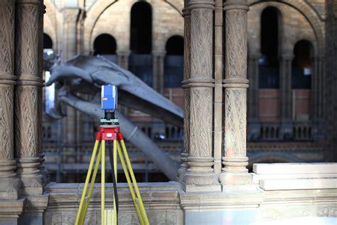 Natural History Museum Whale | ASES