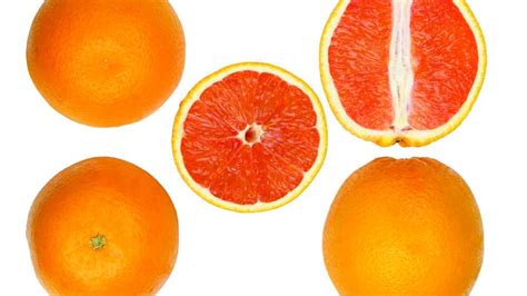 mission     blood orange  variety  florida growing