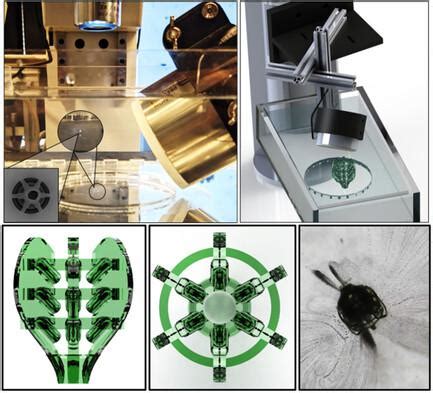 Acoustically Actuated Flow In Microrobots Powered By Axisymmetric