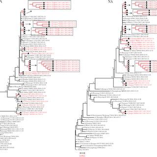 Phylogenetic Analysis Of Hemagglutinin Ha And Neuraminidase Na Of