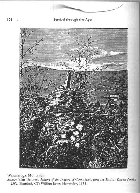 Waking Up On Turtle Island Monument Mountain And Other Indigenous