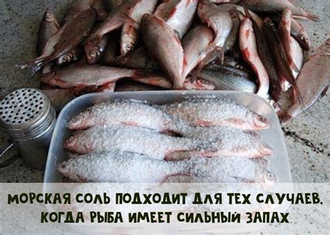 Как устранить неприятный запах речной рыбы - Все о еде и ее ...