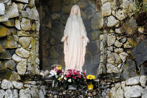 The Ultimate Guide To Marian Apparitions Ascension Press Media