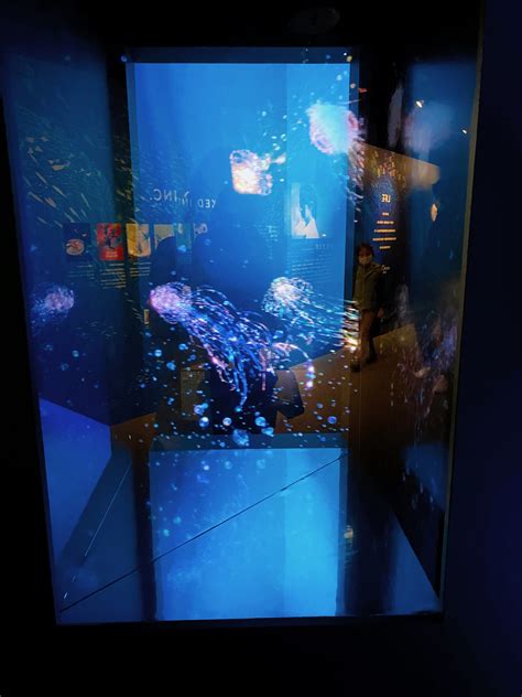 Naked Ocean In Taipei